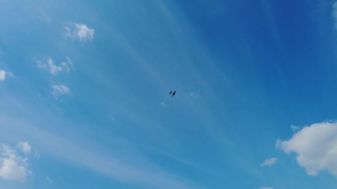 美丽的蓝天中的飞行飞机