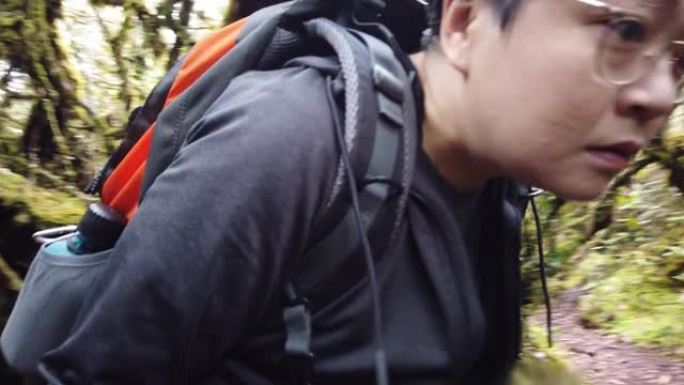 亚洲中国女徒步旅行者探索卡梅伦高地的苔藓森林行走