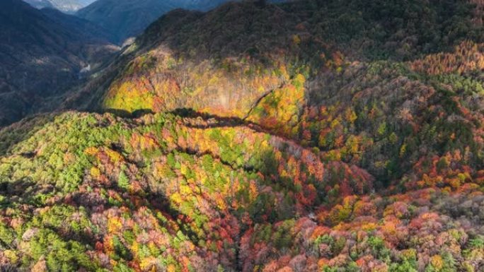 光雾山秋色缤纷光影山区山地山谷