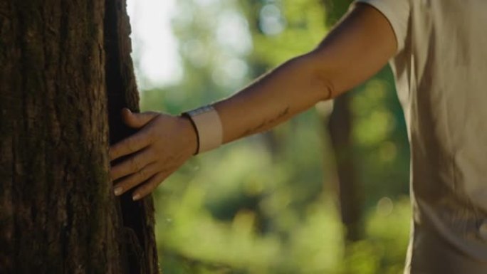SLO MO女人与家人在阳光明媚的森林中散步时碰到一棵树