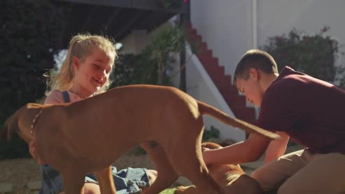 一个男孩和女孩在家里的花园里和他们的脊背小狗玩耍的4k视频片段