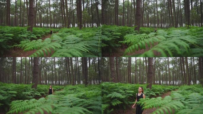 女人在充满蕨类植物的森林中行走