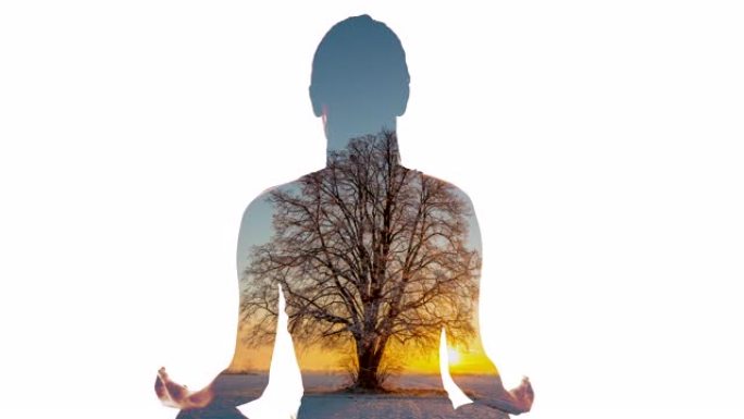 WS女人在日落时在树的背景下冥想