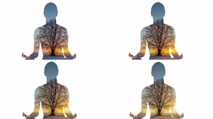 WS女人在日落时在树的背景下冥想