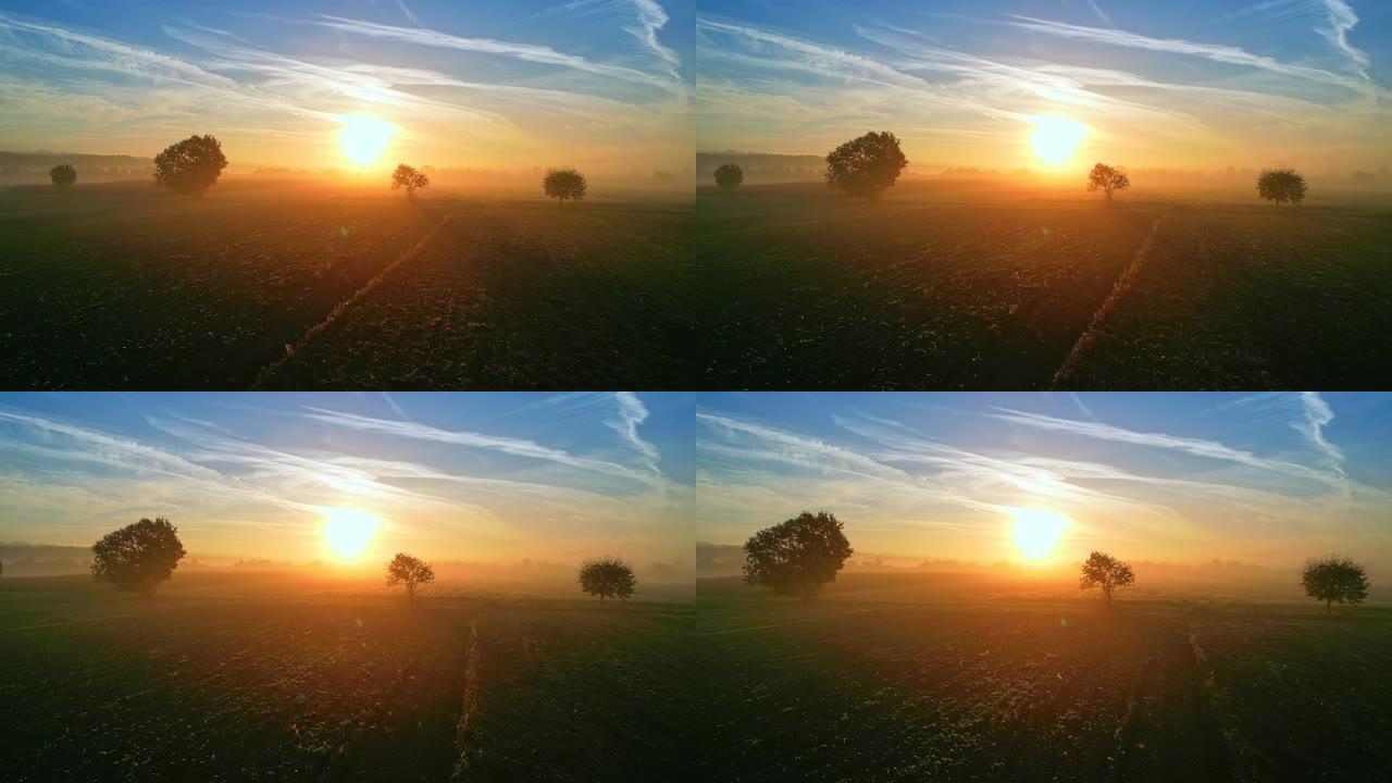 日落时分，空中薄雾漂浮在该国的耕地上
