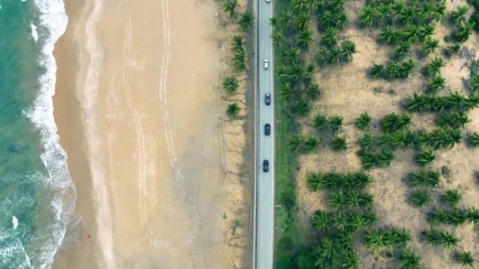 椰树和海之间的道路鸟瞰图