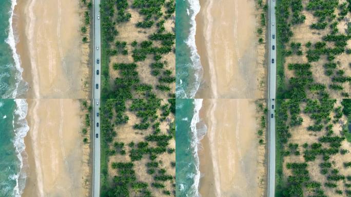 椰树和海之间的道路鸟瞰图