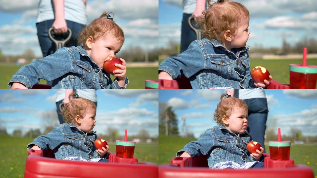 可爱的小女孩吃苹果