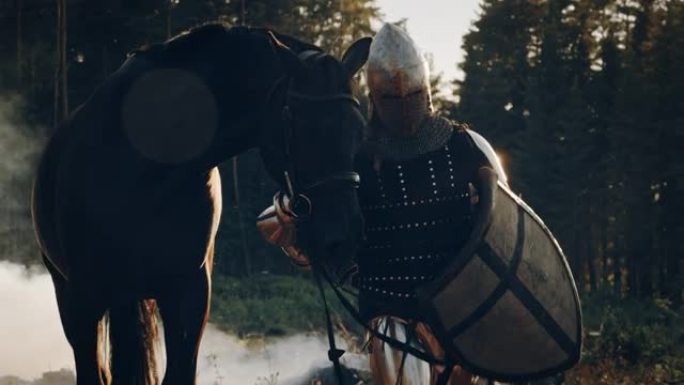 中世纪骑士战士带领他的马进入战斗。英雄的肖像在镀甲，盾，头盔，剑和纯种马。电影之光，战争，烟雾，入侵