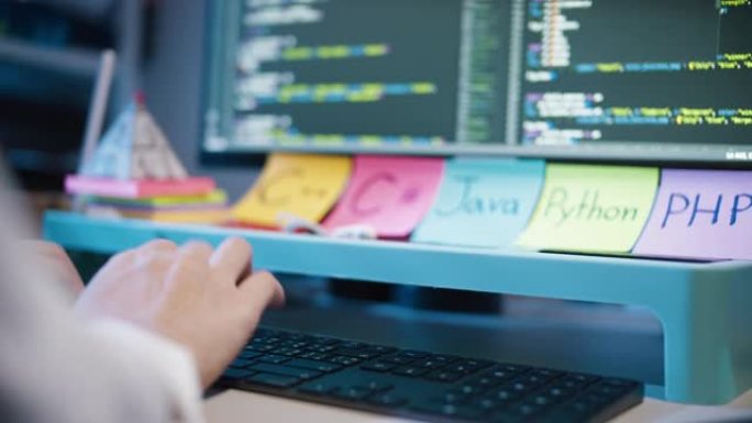 软件开发用计算机屏幕的创新和编码女人