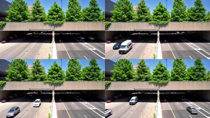 高速公路。桥。树。生态学概念。