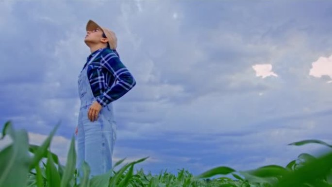 留着棕色长发，帽子和工作服的农夫妇女站在农业玉米田内，抬头仰望天空检查天气，转身