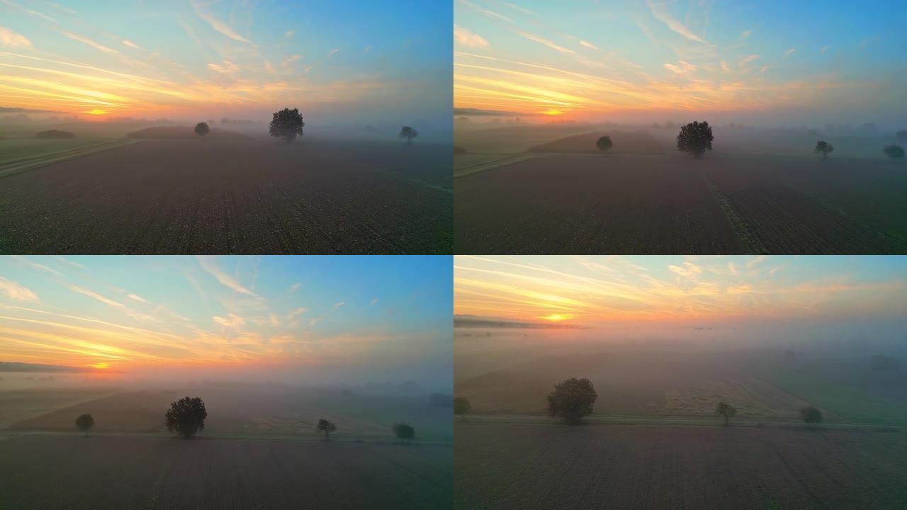 日出时悬挂在该国耕地上的空中晨雾