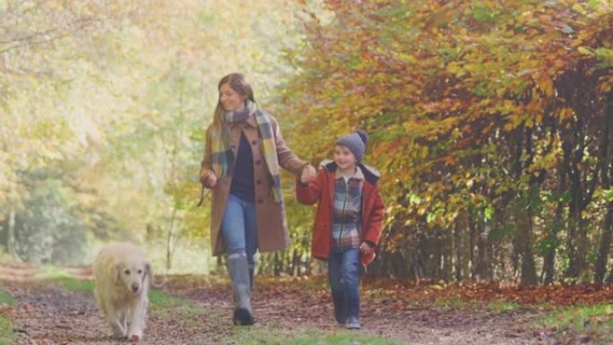 母子带着宠物金毛寻回犬在秋天的乡村牵手走在轨道上