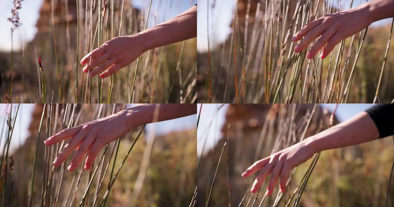4k镜头，一个无法辨认的女人在大自然中漫步时感觉到草