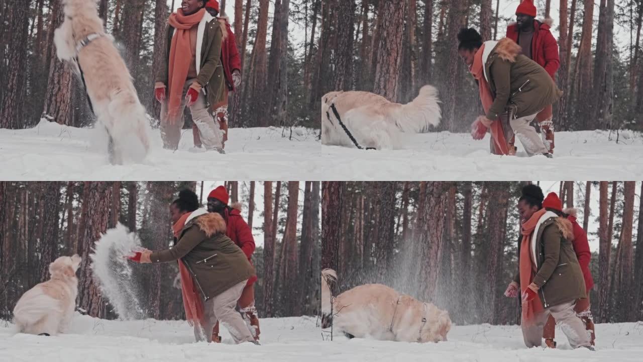 情侣在雪地里和狗玩耍