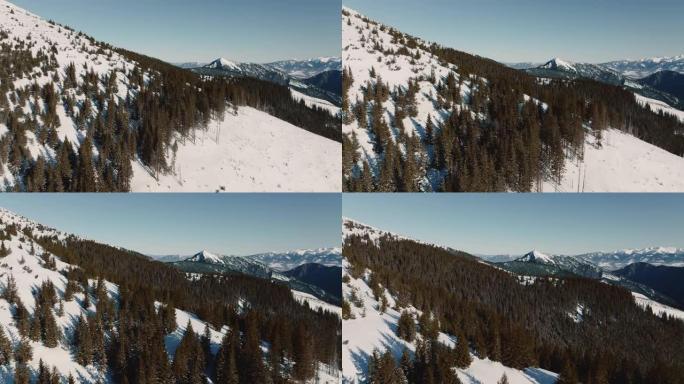 无人机飞越冬季岩石上的森林，揭示了雄伟的寒冷积雪覆盖的山脉的惊人全景。