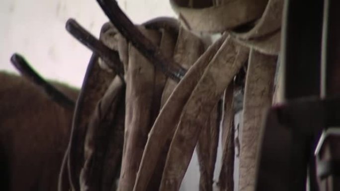 在阿根廷，马Stable内的墙壁上悬挂的绳和皮带。特写。