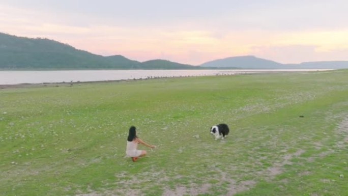 边境牧羊犬在自然山草地上向主人走去。空中无人机。