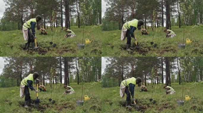 种植前的园丁挖掘花园设计土壤培育绿植养护