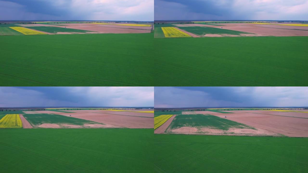空中: 在郁郁葱葱的农业农场上飞向蓝色拖拉机