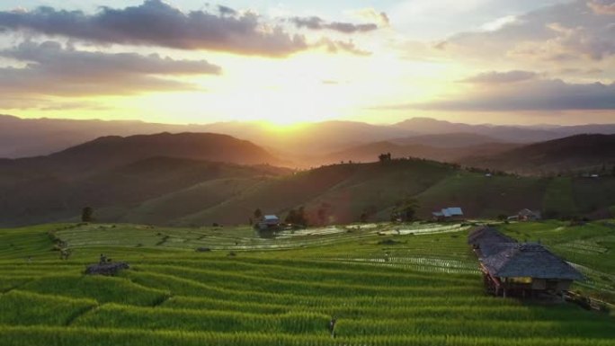 日落时水稻农业的鸟瞰图
