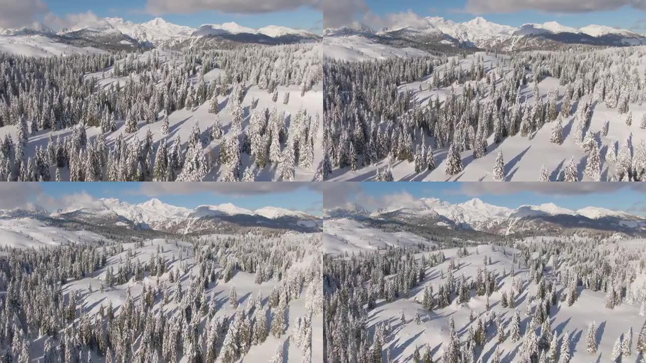 无人机: 斯洛文尼亚一座被粉雪覆盖的山脉的壮观景色。