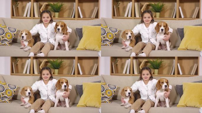 开朗的小女孩和两只可爱的狗坐在沙发上，对着镜头微笑
