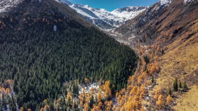 秋天的雪山下，有一片五彩缤纷的森林