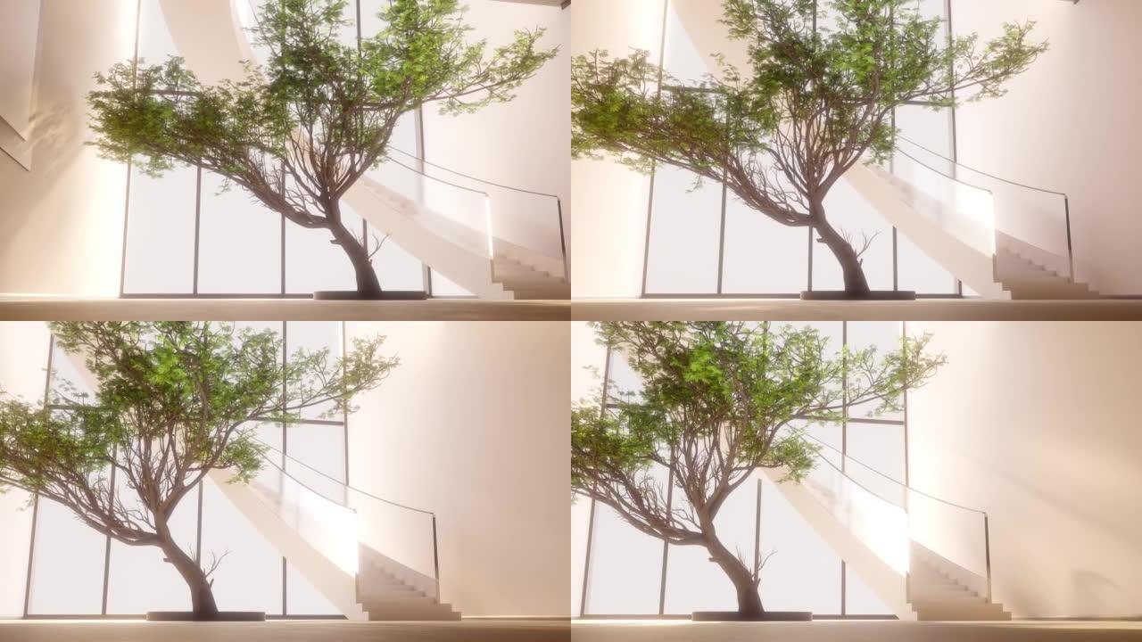3D建模具有白色墙壁和东方树的现代设计，相机将其从一侧拍摄到另一侧