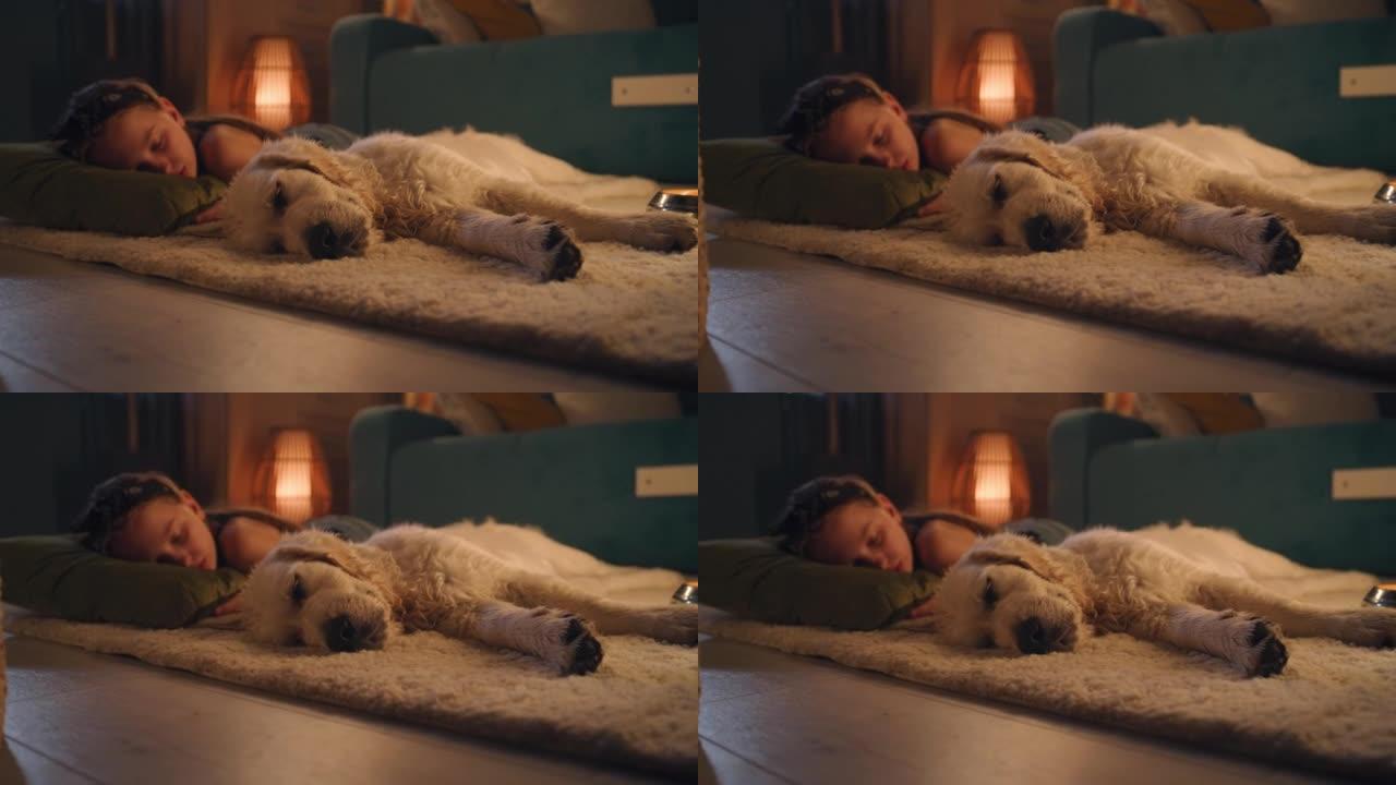 年轻女孩和狗睡在温和的地毯上