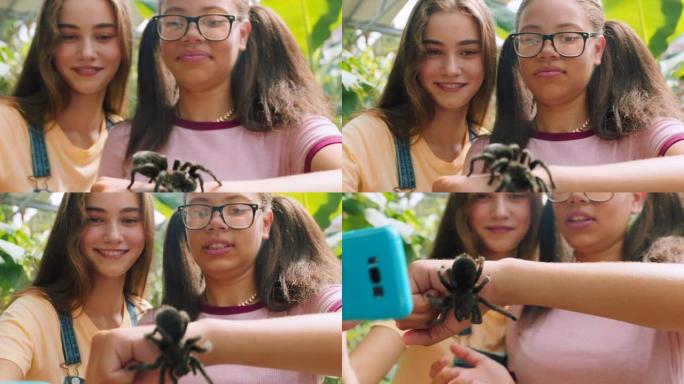 蜘蛛，朋友和与动物园女孩的电话，用于自拍，环境和社交媒体。生态系统，自然与青少年和狼蛛在野生动物保护
