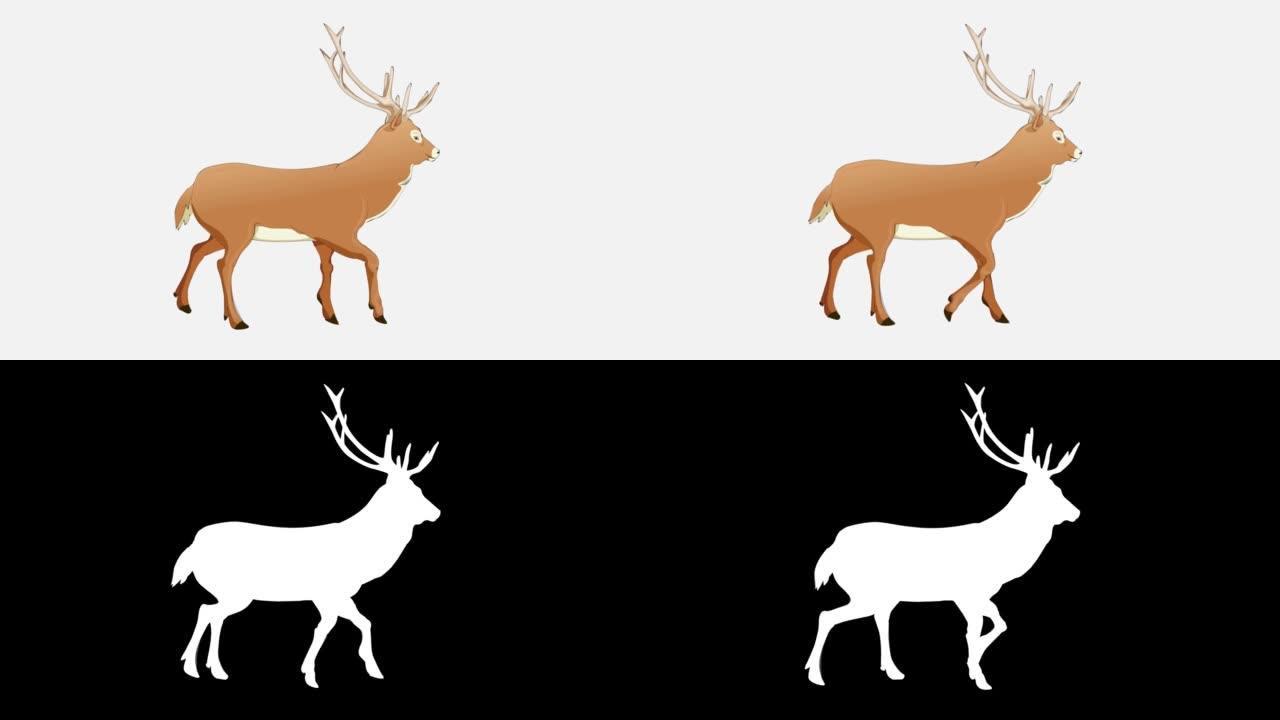 带阿尔法通道的白色屏幕上的行走卡通鹿慢动作动画。动物，野生动物，游戏，返校的概念，3d动画，电影，有