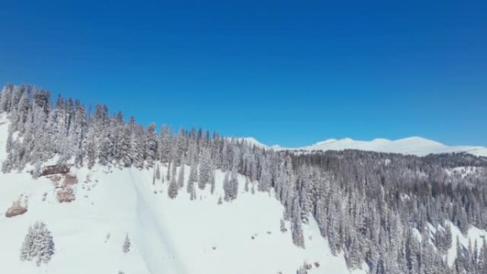 在晴朗的冬日，白雪覆盖的树木森林和美丽的山脉景观上方的鸟瞰图