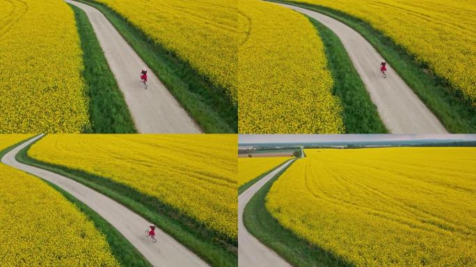 鸟瞰图，一个无法辨认的黑发女性骑着自行车穿过一片郁郁葱葱的黄色金鱼花，背景是多云的天空，跟踪拍摄