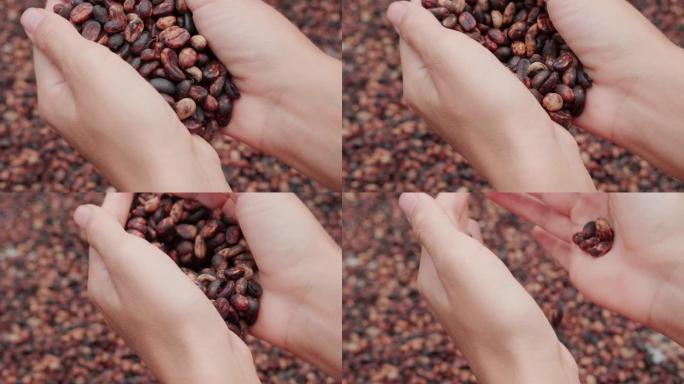 用手倒咖啡豆