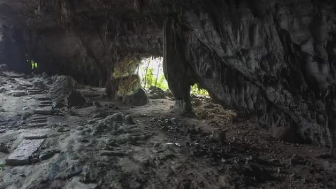 原始森林中有一些巨大的洞穴