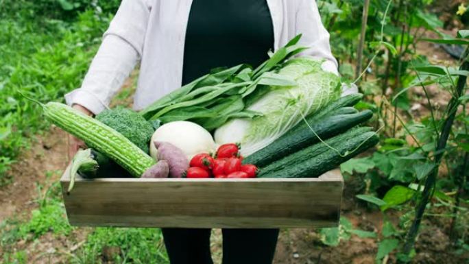女人在农场里拿着一盒蔬菜