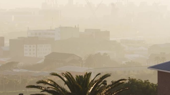 烟雾中有多个建筑物，建筑工地和棕榈树的城市景观的总体视图