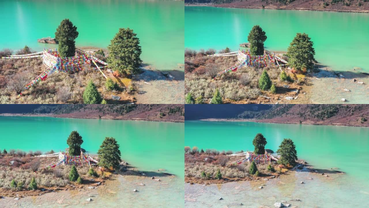 川西高原的湖泊上生长着几棵神树