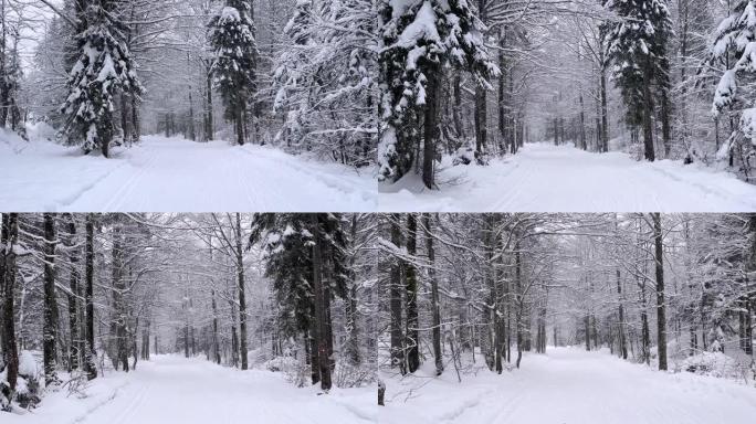 被白雪覆盖的森林环绕的雄伟山谷