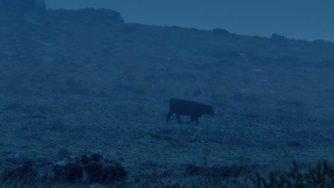 牛在崎Landscape的风景中，白天晚些时候下雨
