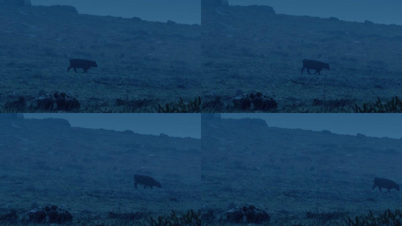 牛在崎Landscape的风景中，白天晚些时候下雨