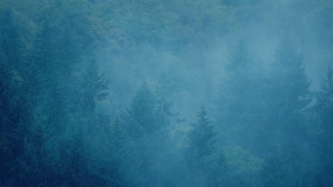 雨雾覆盖森林荒野雾气自然风景视频素材