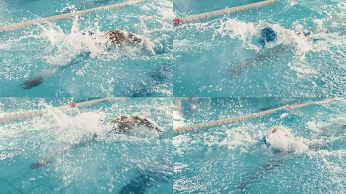 男子游泳运动员在奥林匹克游泳池游泳。专业运动员在锦标赛上表演，使用前爬行，自由泳。决心和最大努力取胜