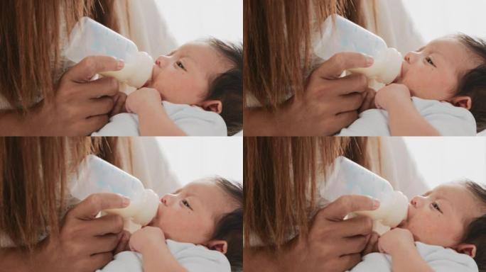 新生婴儿喝牛奶喂养新生儿婴儿