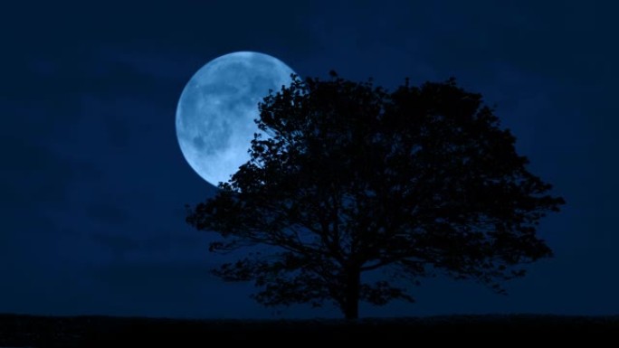 山上有风的夜树，月亮在后面