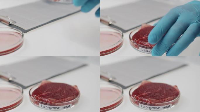 科学家通过研究数据并将实验室种植的肉放在桌子上