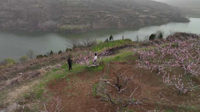 零口水库和桃花