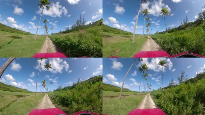 POV: 空旷的土路在棕榈树下和郁郁葱葱的乡村景观周围延伸